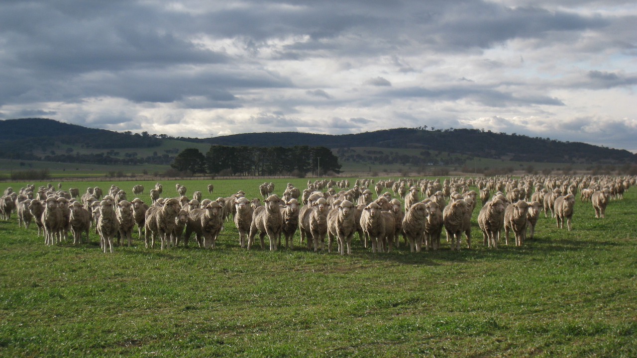 Photo of Outdoor in Tirrannaville