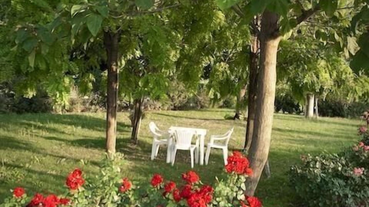 Photo of Others in Scandiano
