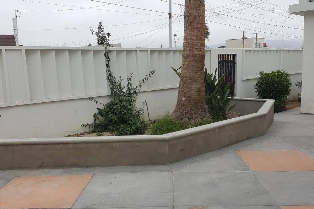 Photo of Others in Ensenada
