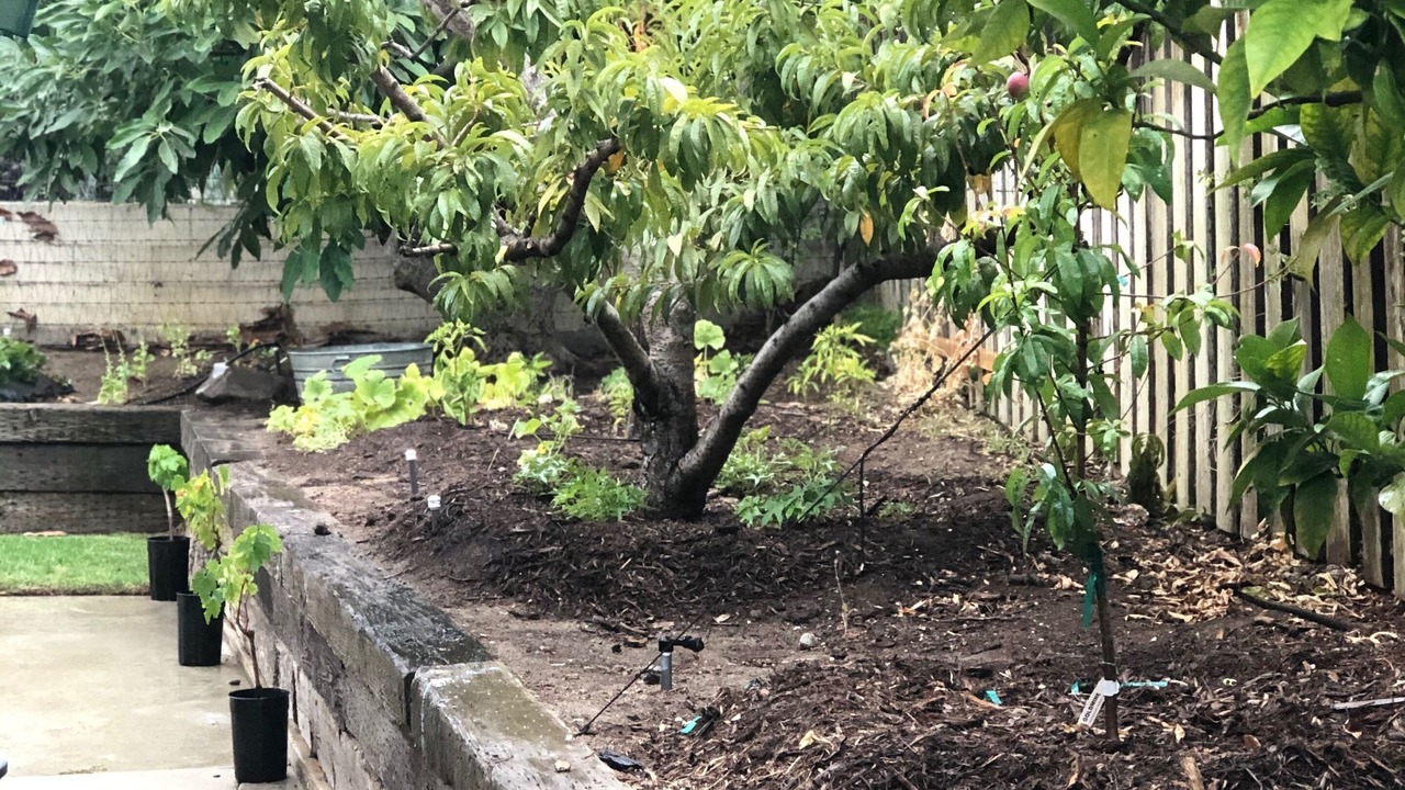 Photo of Outdoor in Camarillo