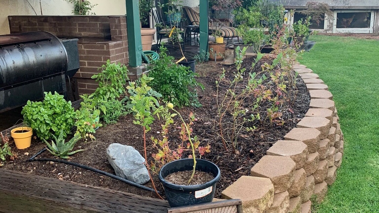 Photo of Outdoor in Camarillo