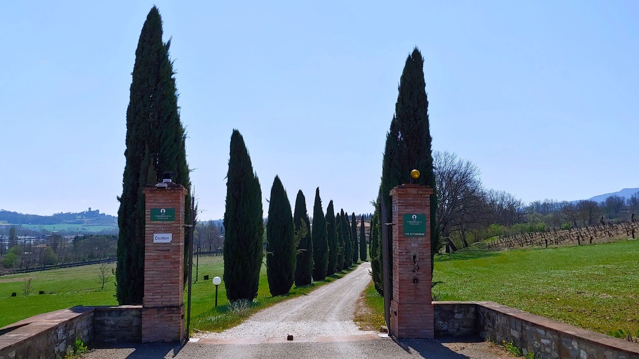 Photo of Outdoor in Rignano sull'Arno