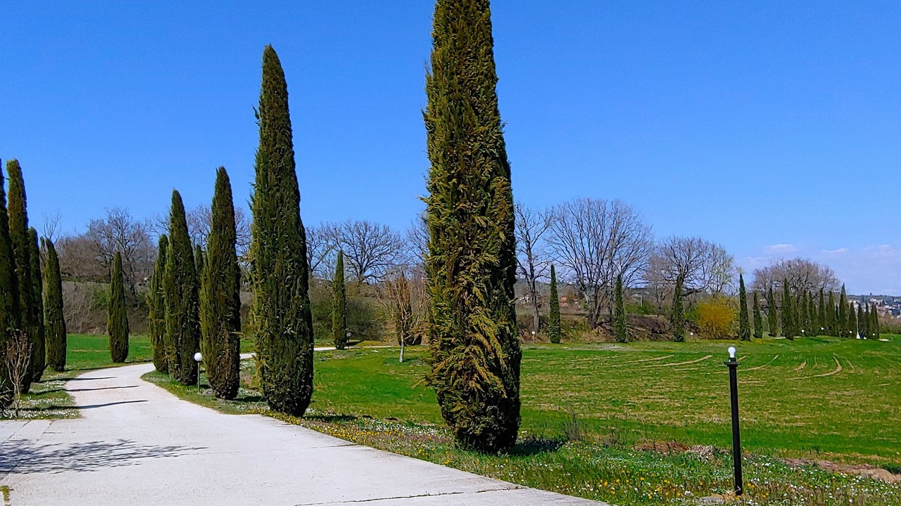 Photo of Others in Rignano sull'Arno