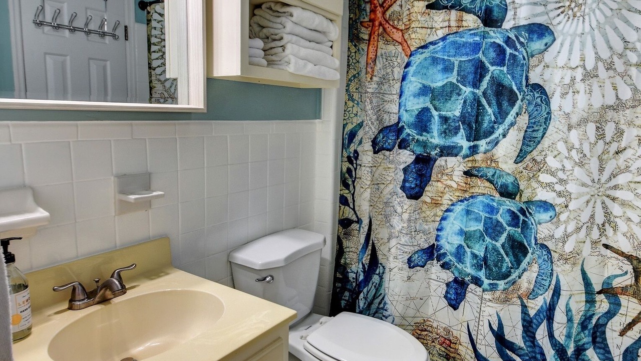 Photo of Bathroom in Cherry Grove Beach