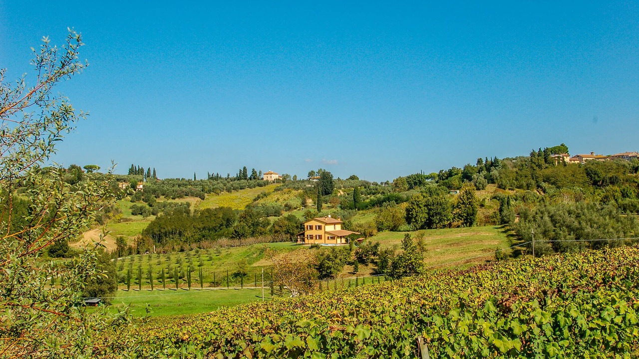 Photo of Outdoor in Soiana
