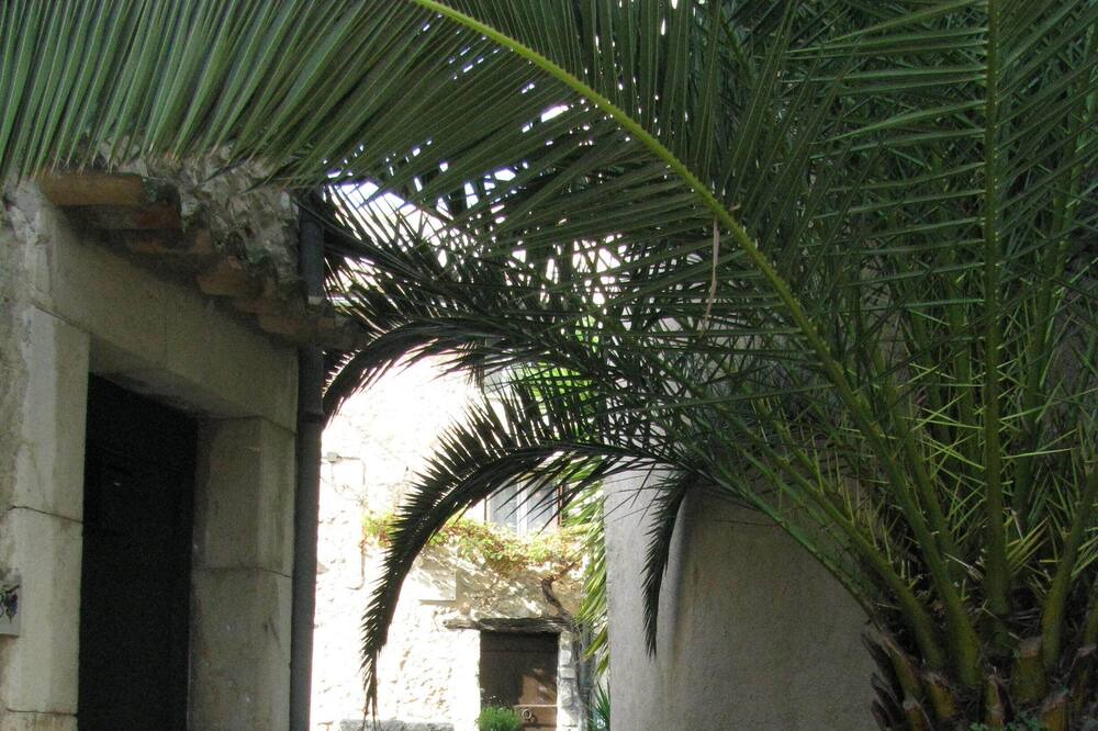 Photo of Outdoor in Saint-Jeannet