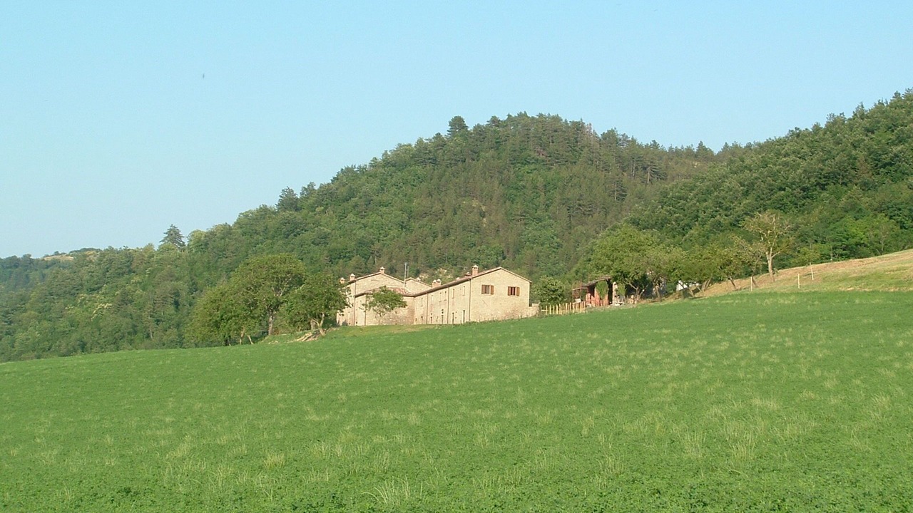 Photo of Others in Marradi