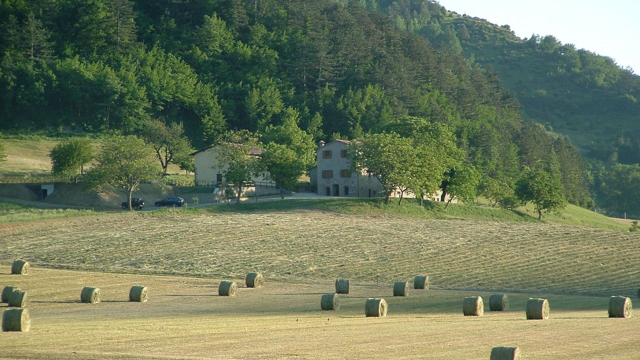 Photo of Others in Marradi