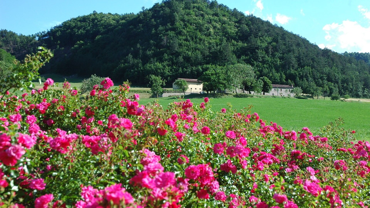 Photo of Outdoor in Marradi