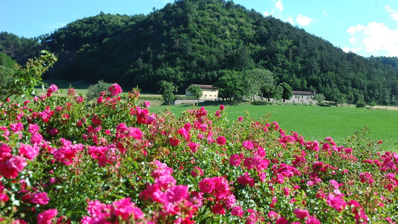 Photo of Outdoor in Marradi