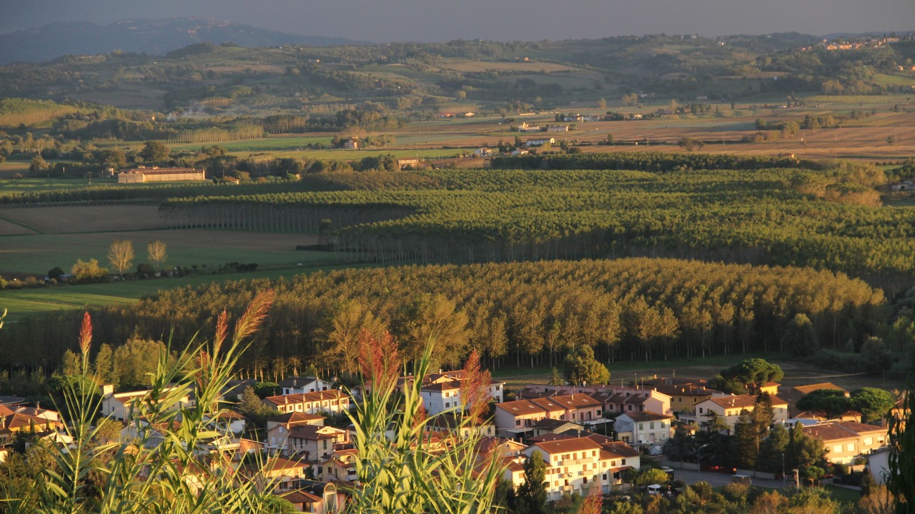 Photo of Outdoor in Forcoli