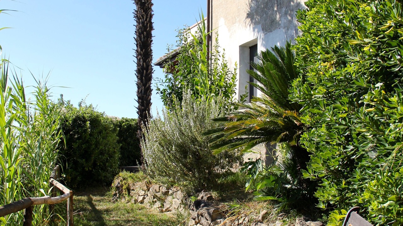 Photo of Others in Forcoli