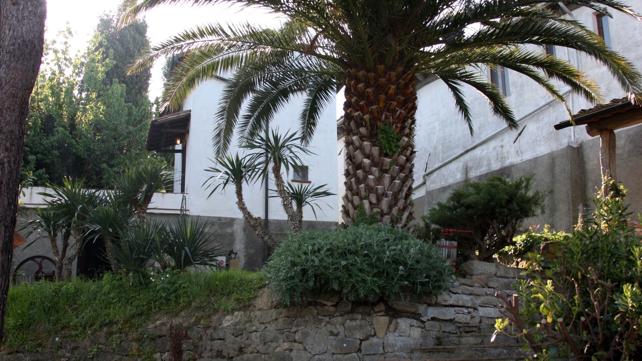 Photo of Outdoor in Forcoli