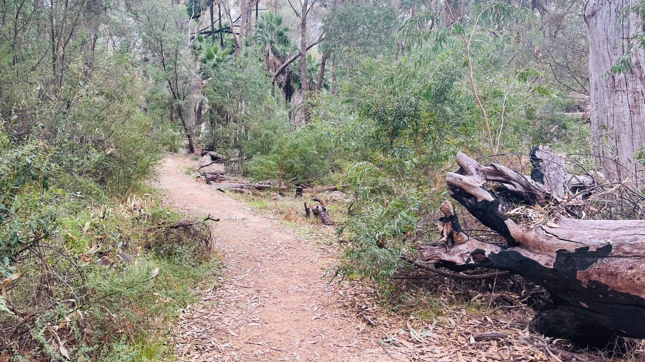 Photo of Outdoor in Yanchep