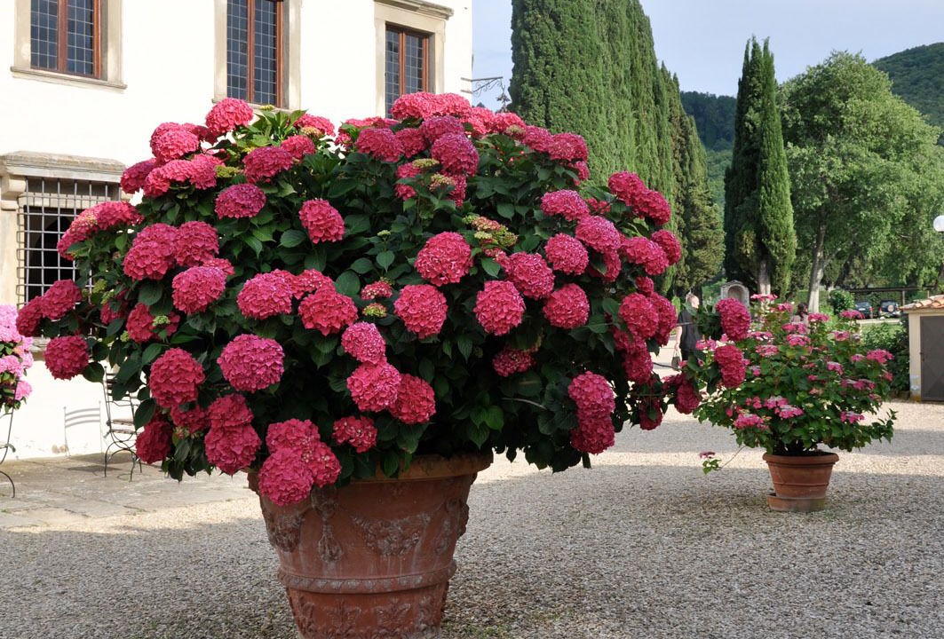 Photo of Outdoor in Campestri