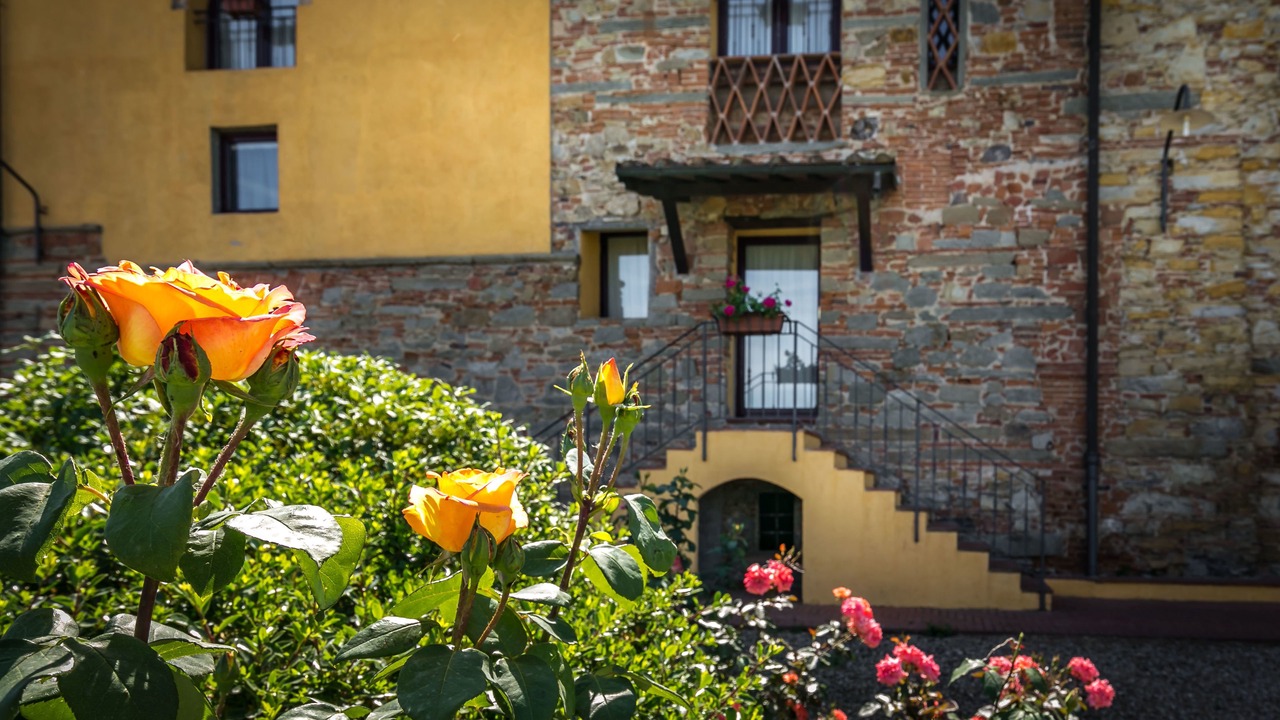 Photo of Outdoor in Signa