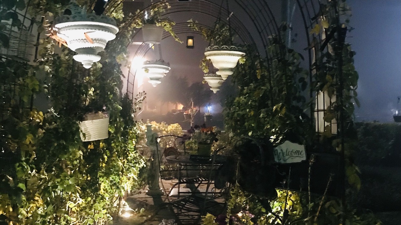 Photo of Outdoor in Napa