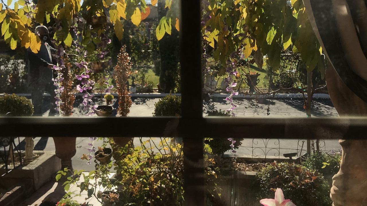 Photo of Outdoor in Napa