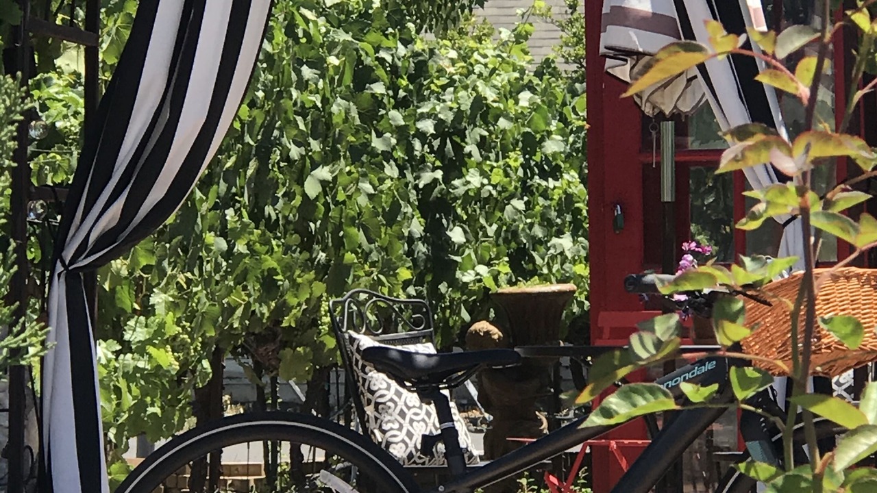 Photo of Outdoor in Napa