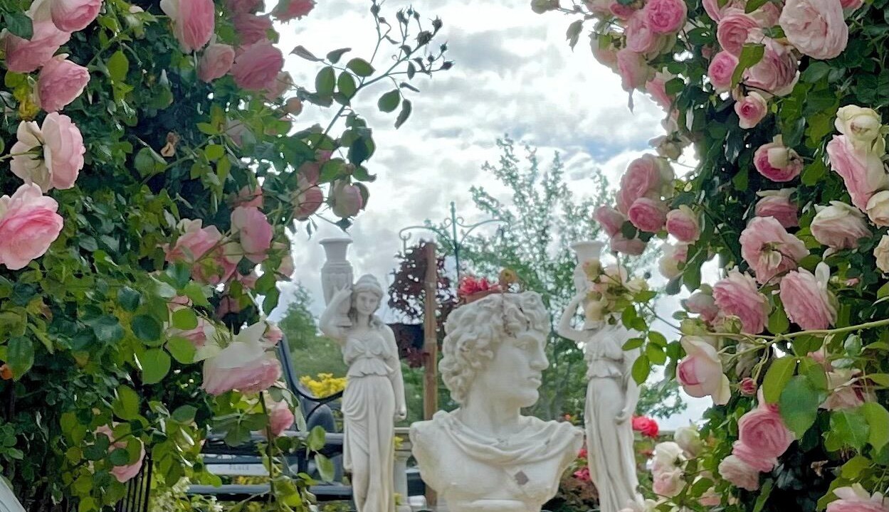 Photo of Outdoor in Napa