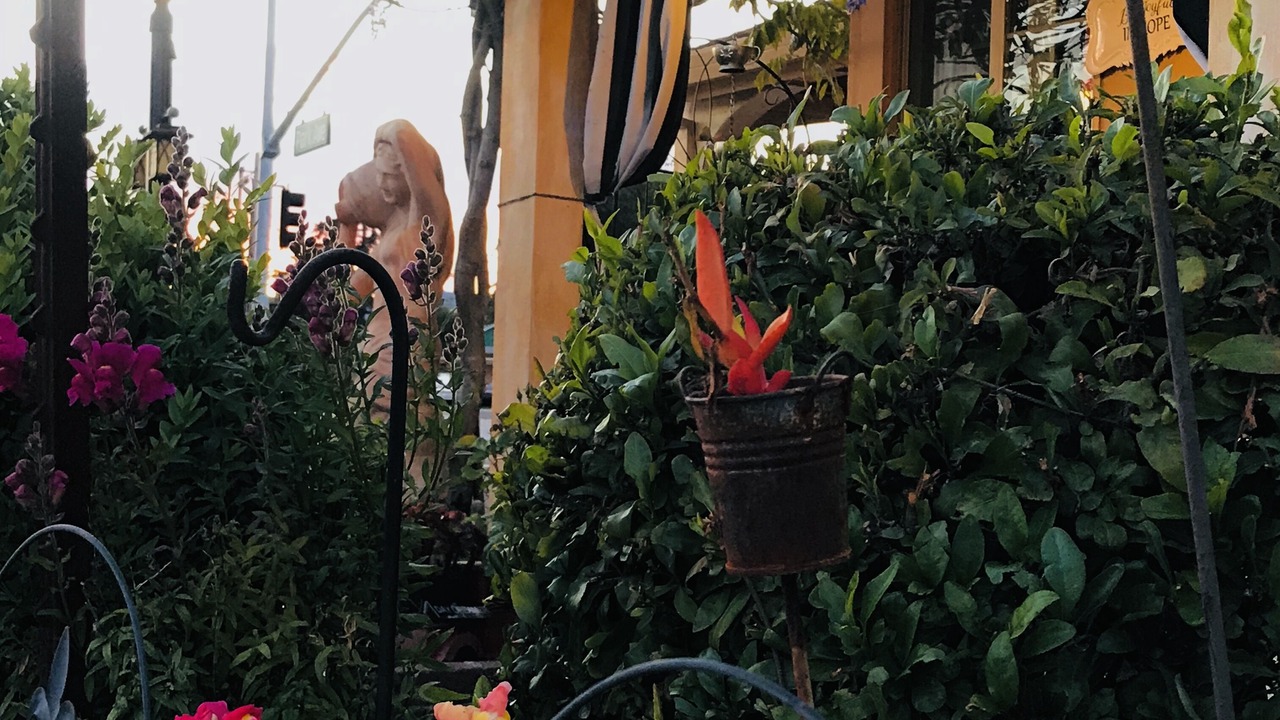 Photo of Outdoor in Napa