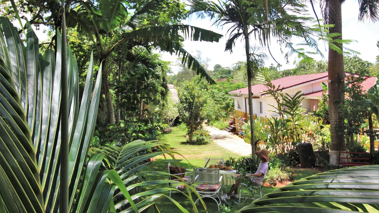 Photo of Outdoor in Mandeville
