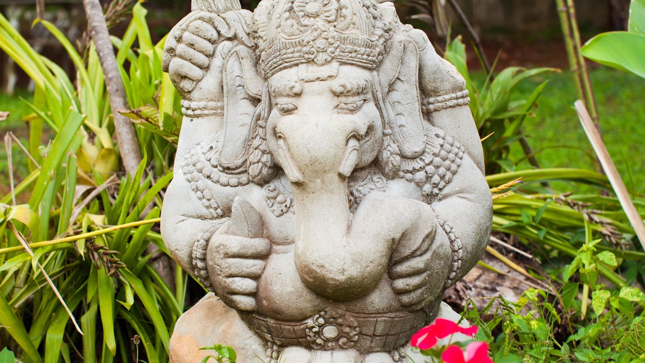 Photo of Outdoor in Mandeville