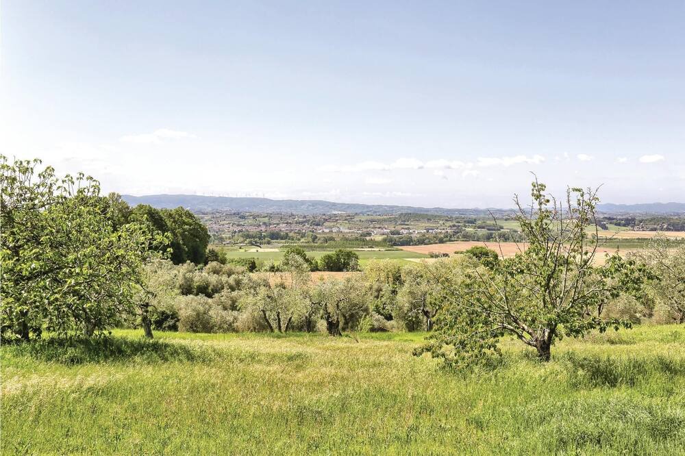 Photo of Others in Forcoli