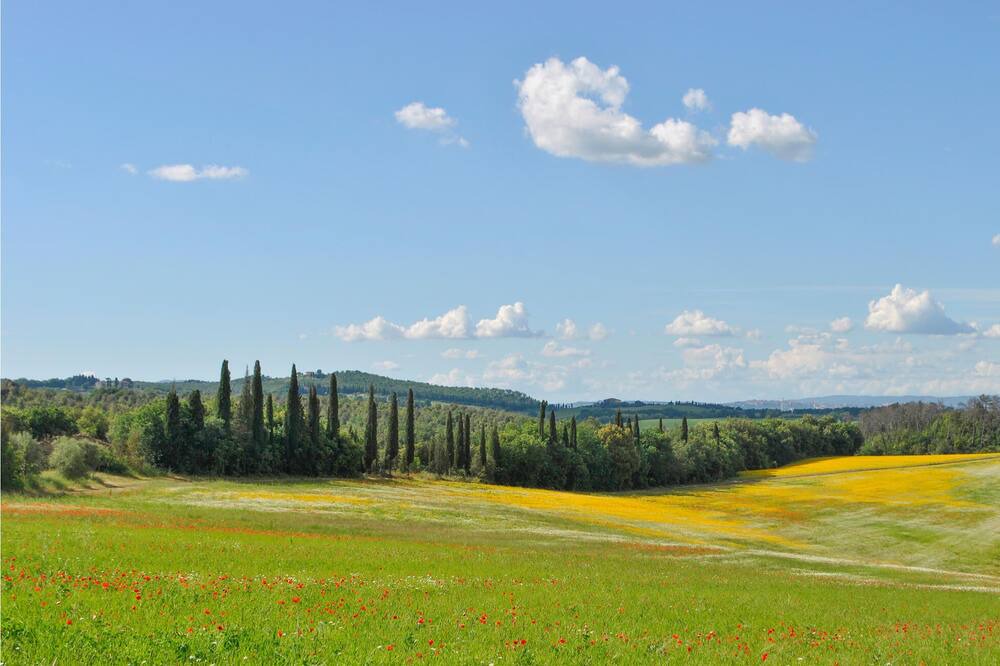 Photo of Others in Serre di Rapolano