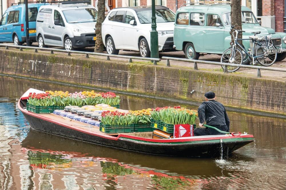 Photo of Others in Alkmaar