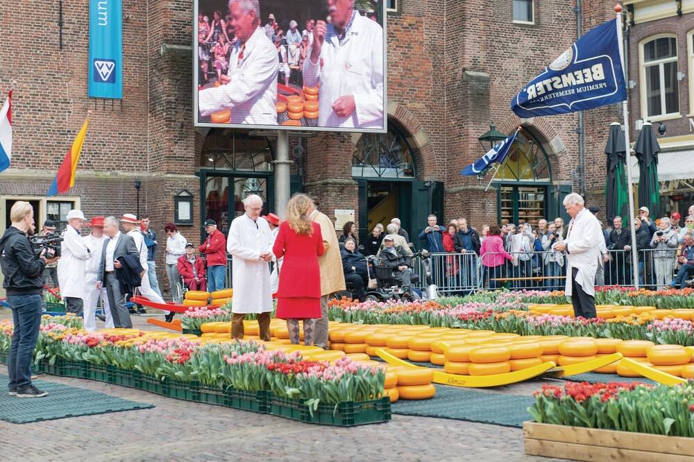 Photo of Others in Alkmaar