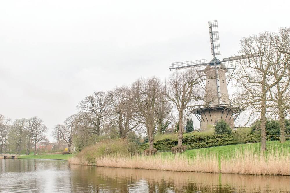 Photo of Others in Alkmaar