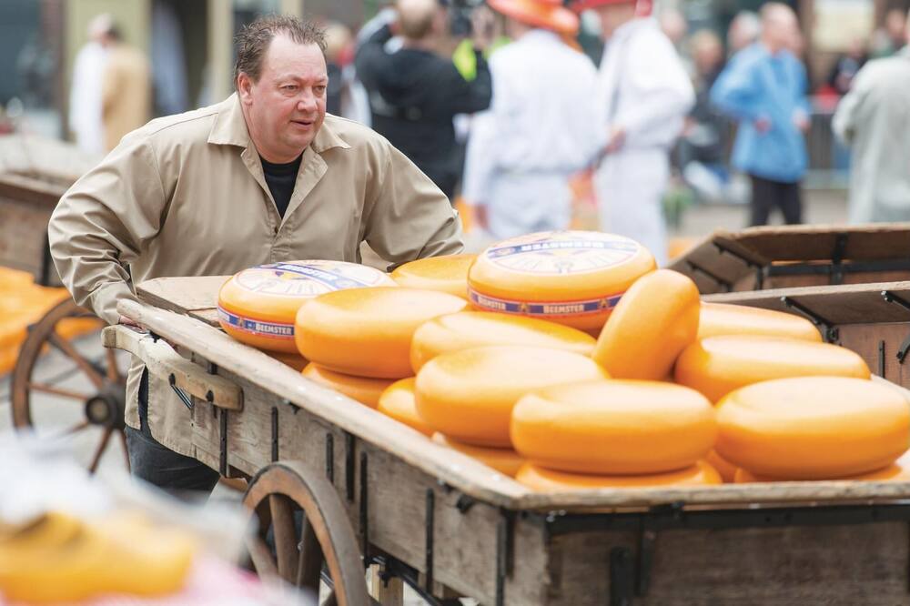 Photo of Others in Alkmaar