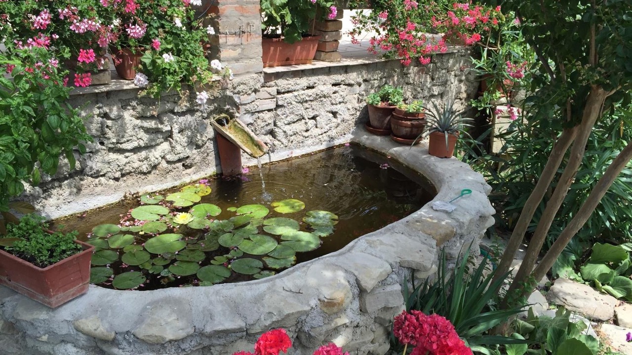 Photo of Outdoor in Predappio