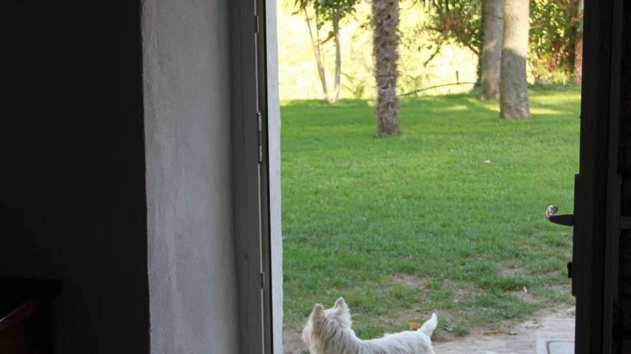 Photo of Others in Predappio