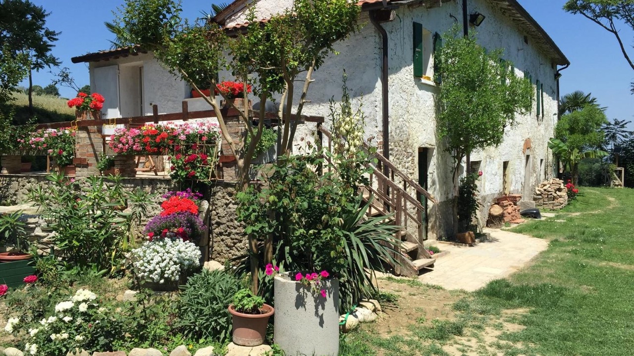 Photo of Outdoor in Predappio