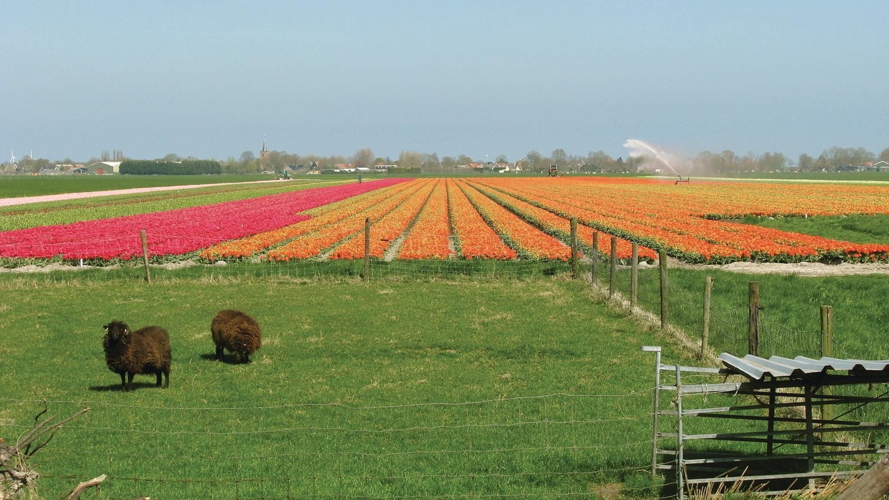 Photo of Outdoor in Schellinkhout