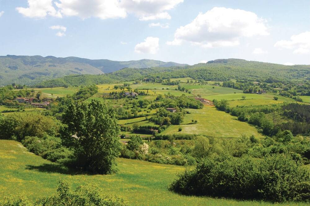 Photo of Others in Pratovecchio