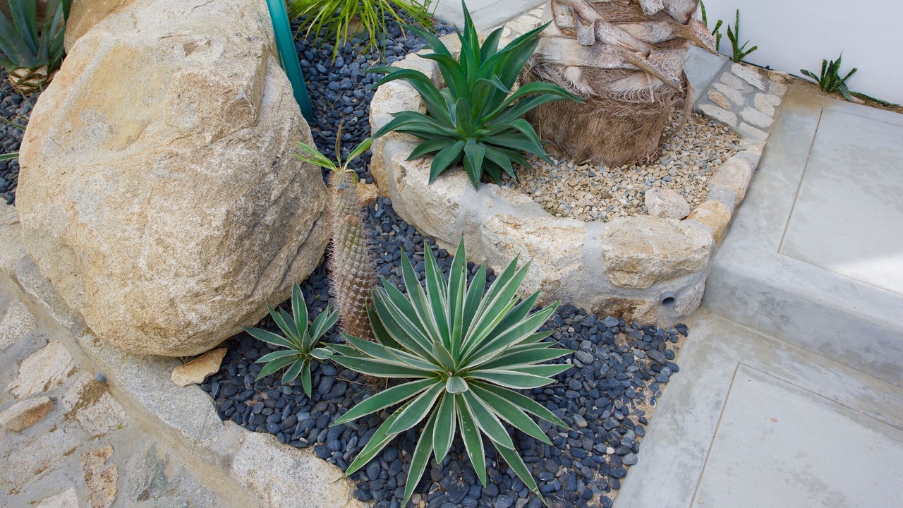 Photo of Outdoor in Laguna Hills