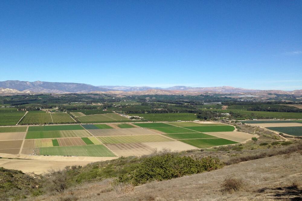 Photo of Others in Camarillo