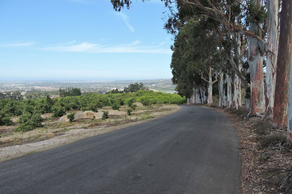 Photo of Others in Camarillo