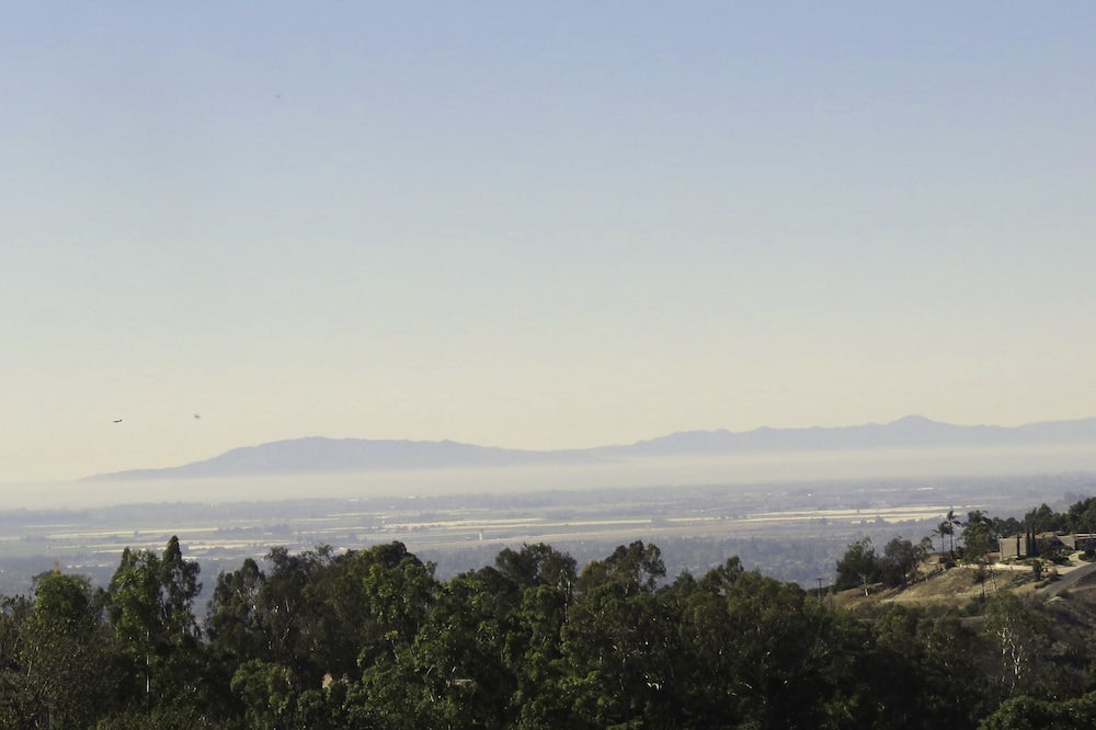 Photo of Others in Camarillo