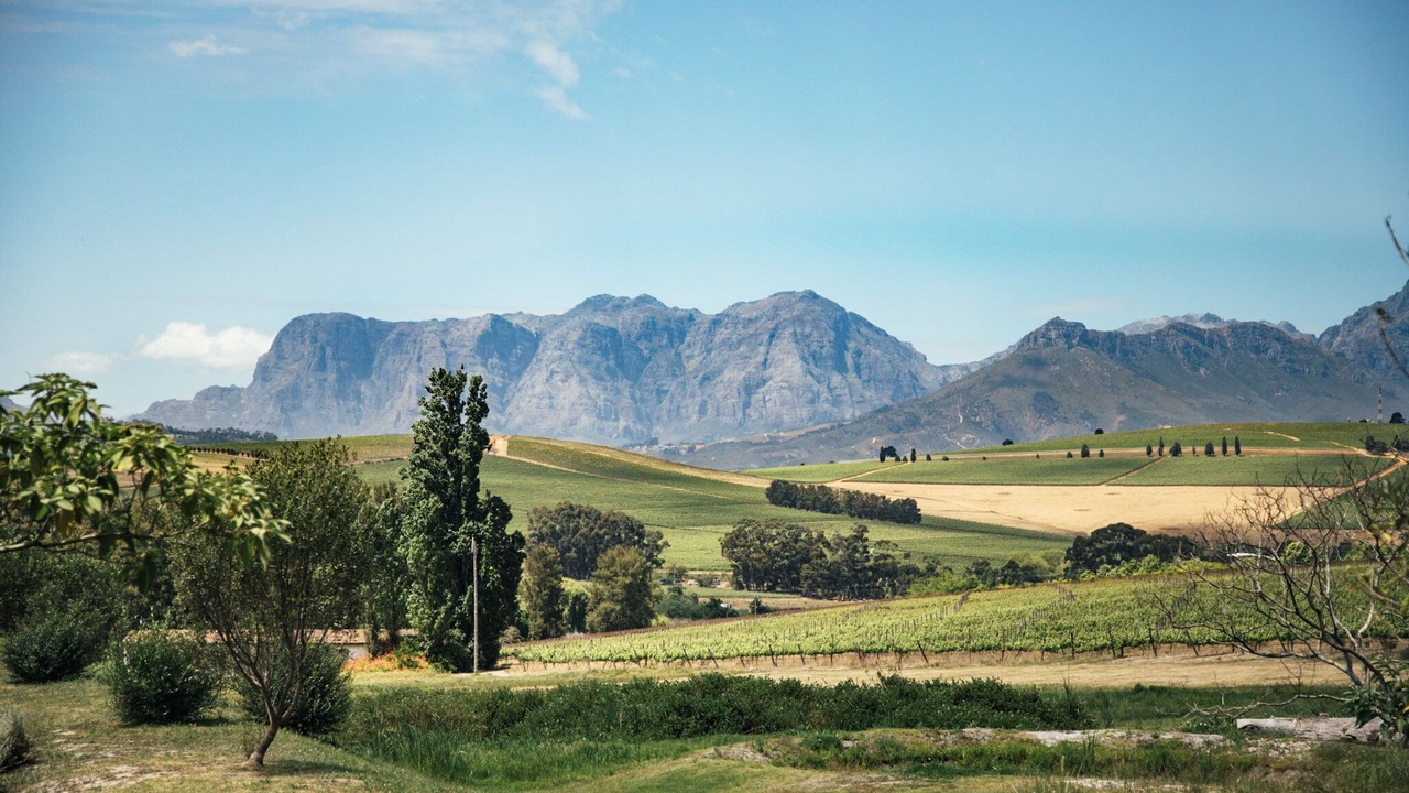 Photo of Others in Stellenbosch