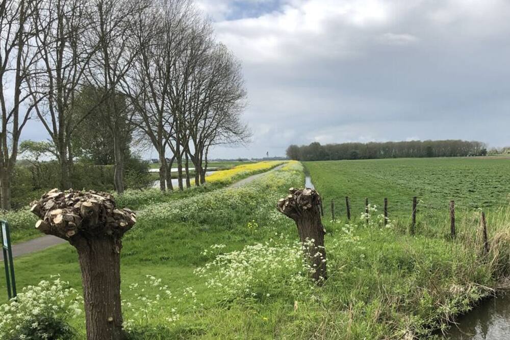 Photo of Outdoor in Opperdoes