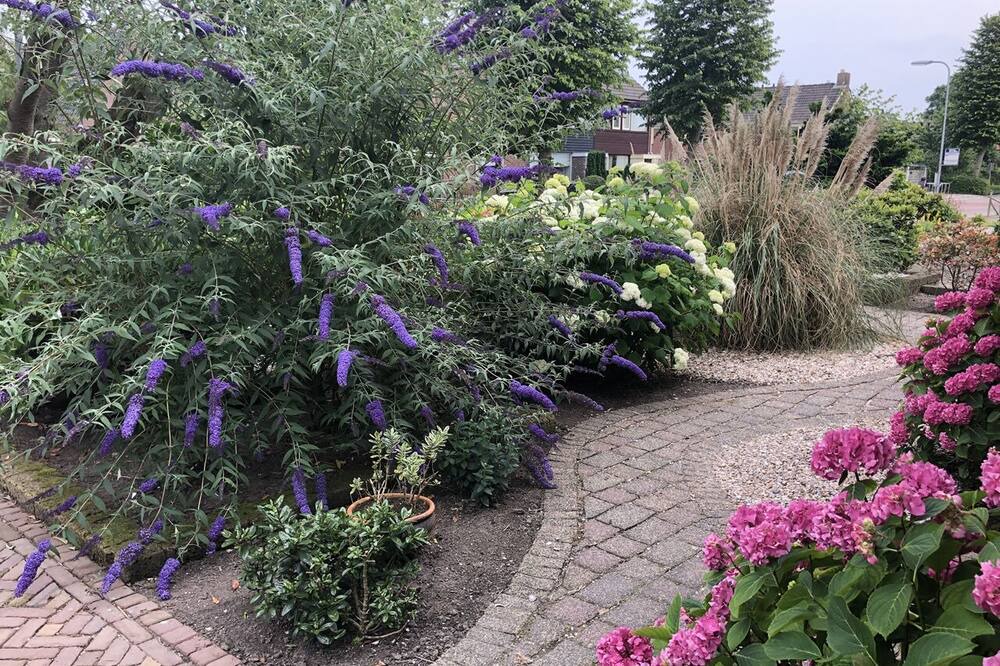 Photo of Outdoor in Opperdoes