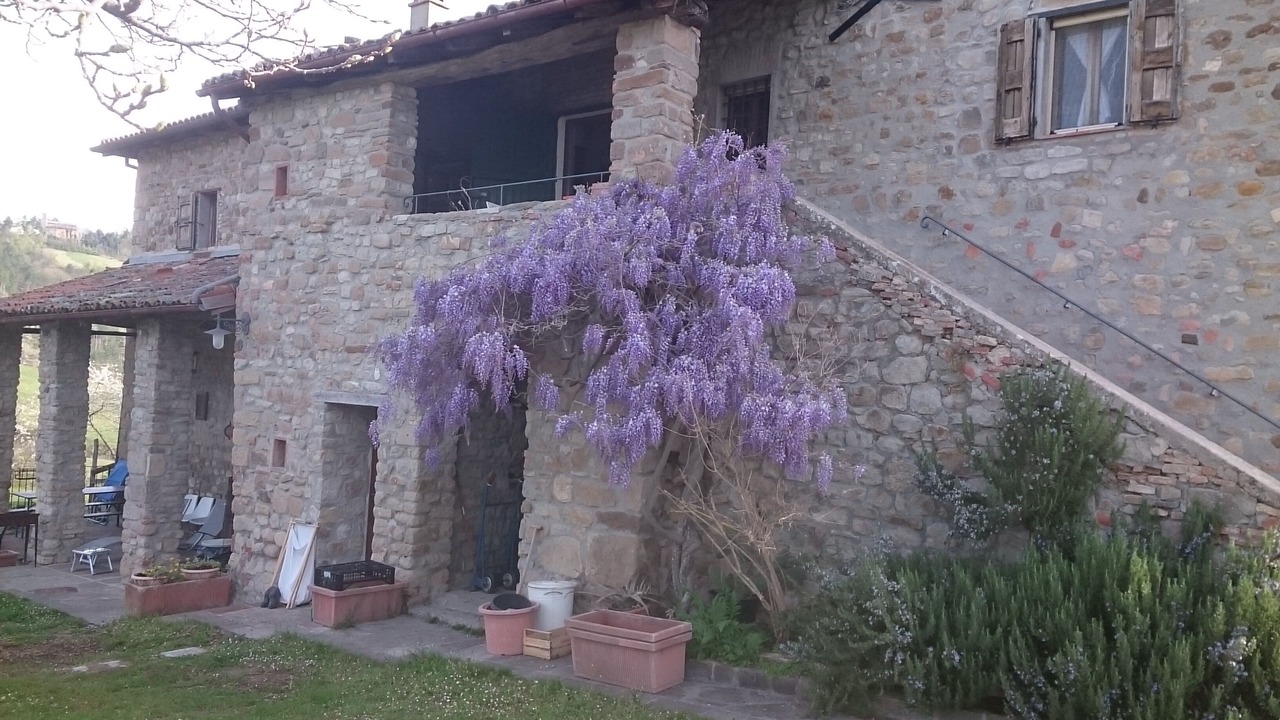 Photo of Others in Monterenzio