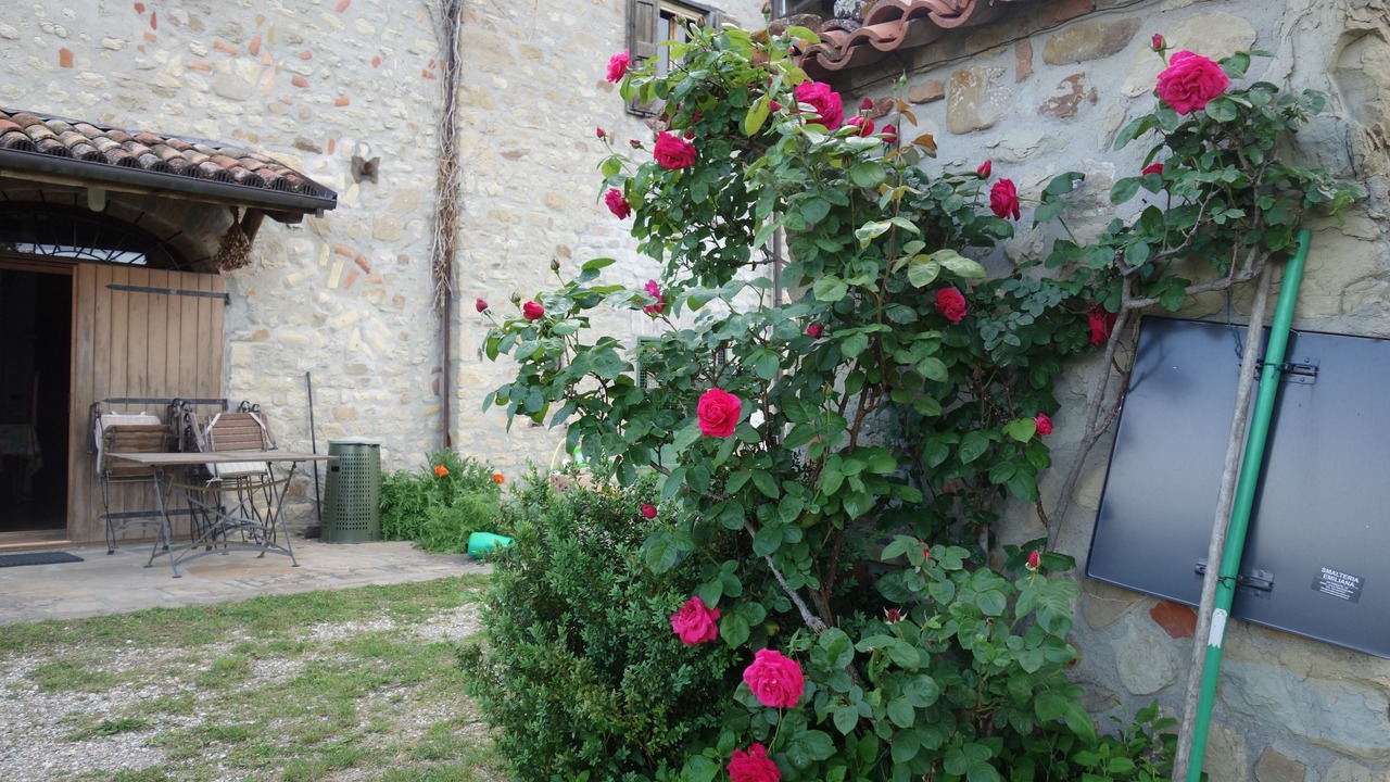 Photo of Outdoor in Monterenzio