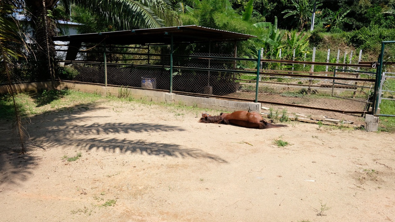 Photo of Outdoor in Takua Pa
