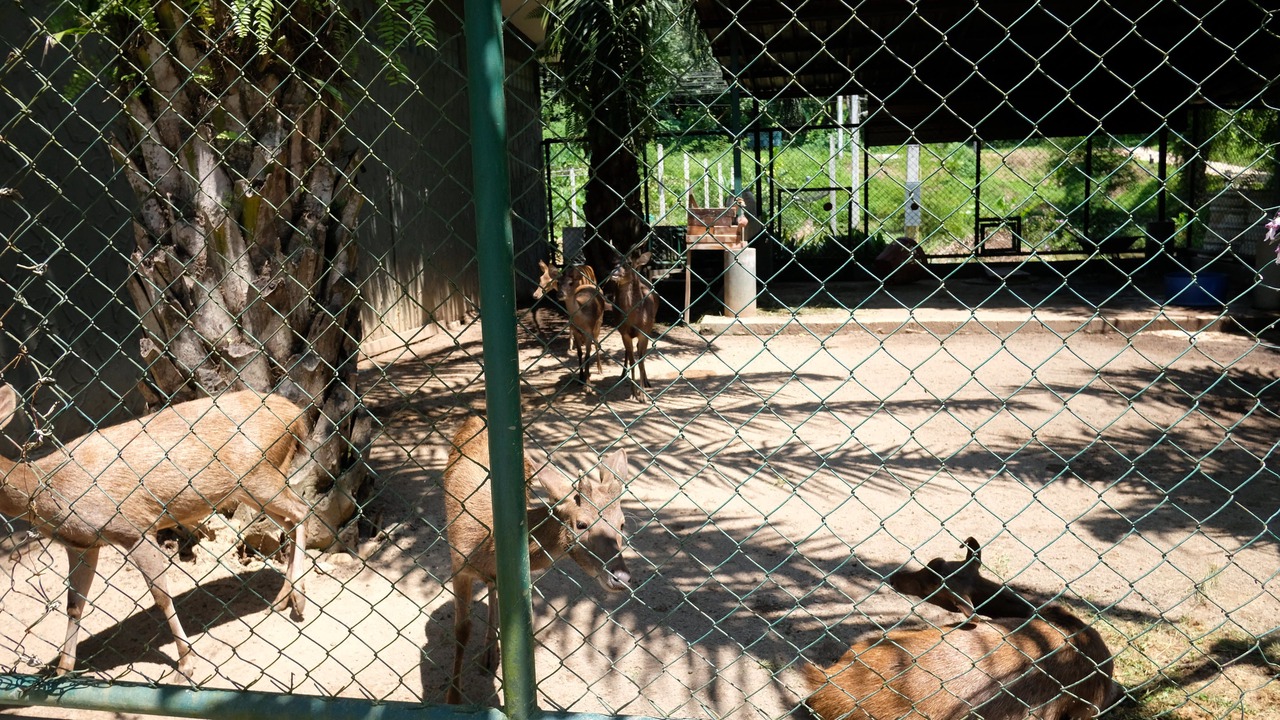 Photo of Outdoor in Takua Pa