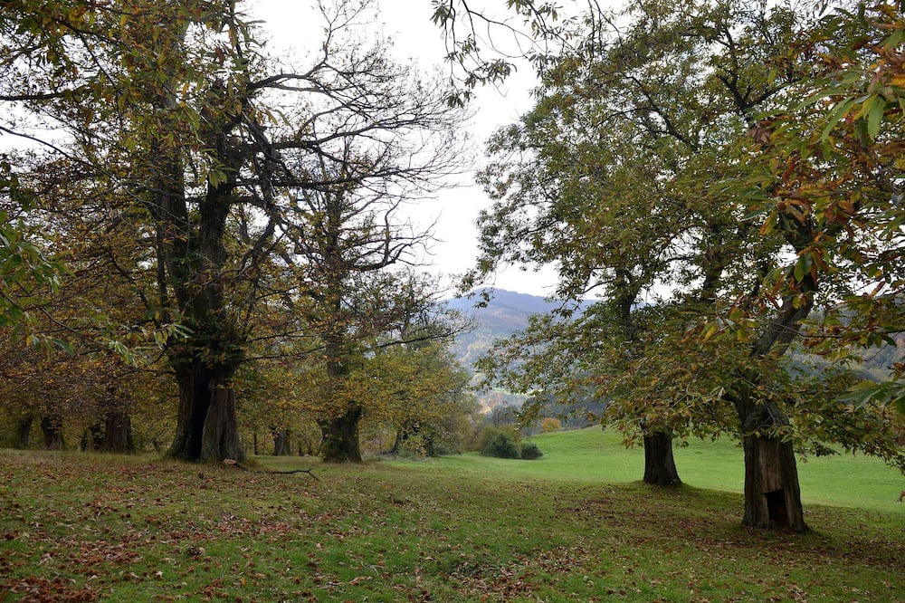 Photo of Outdoor in Marradi